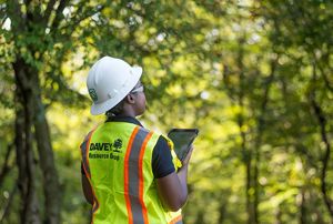 Professional Tree Services by Certified Arborists