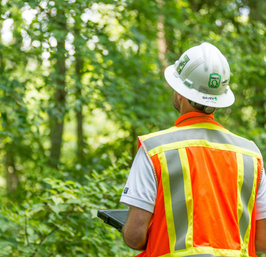 Tree Inventory Management & Consulting | Davey Resource Group