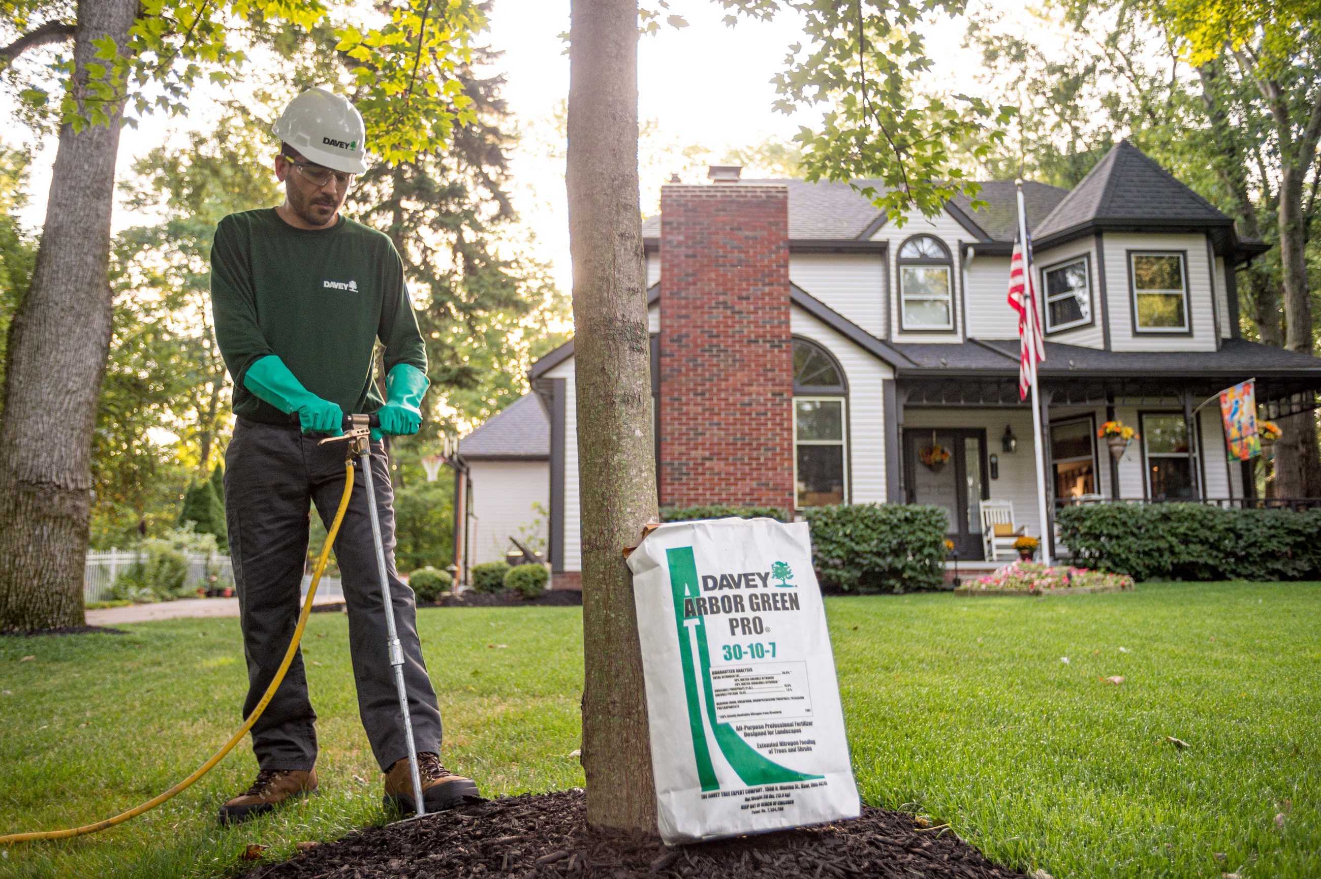 Tree and Shrub Fertilization Services