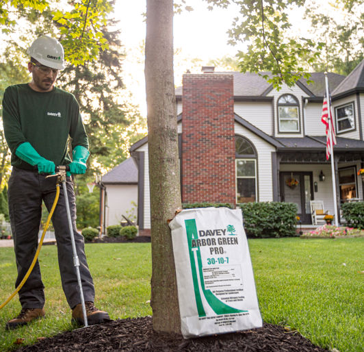 Arbor Green PRO