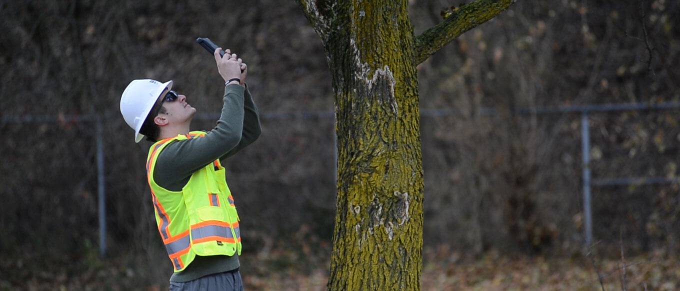 Treekeeper Photo Doc Inventory