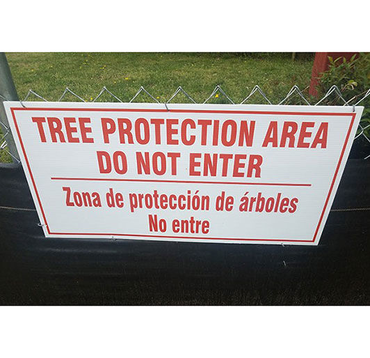 Tree Preservation & Protection During Construction | Davey Resource Group