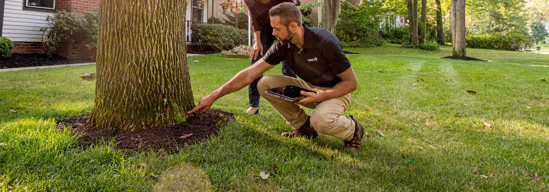Tree Health Inspection Services & Treatment | Davey Tree