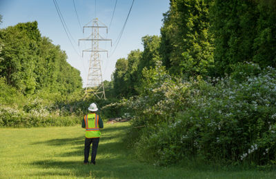 Vegetation Management