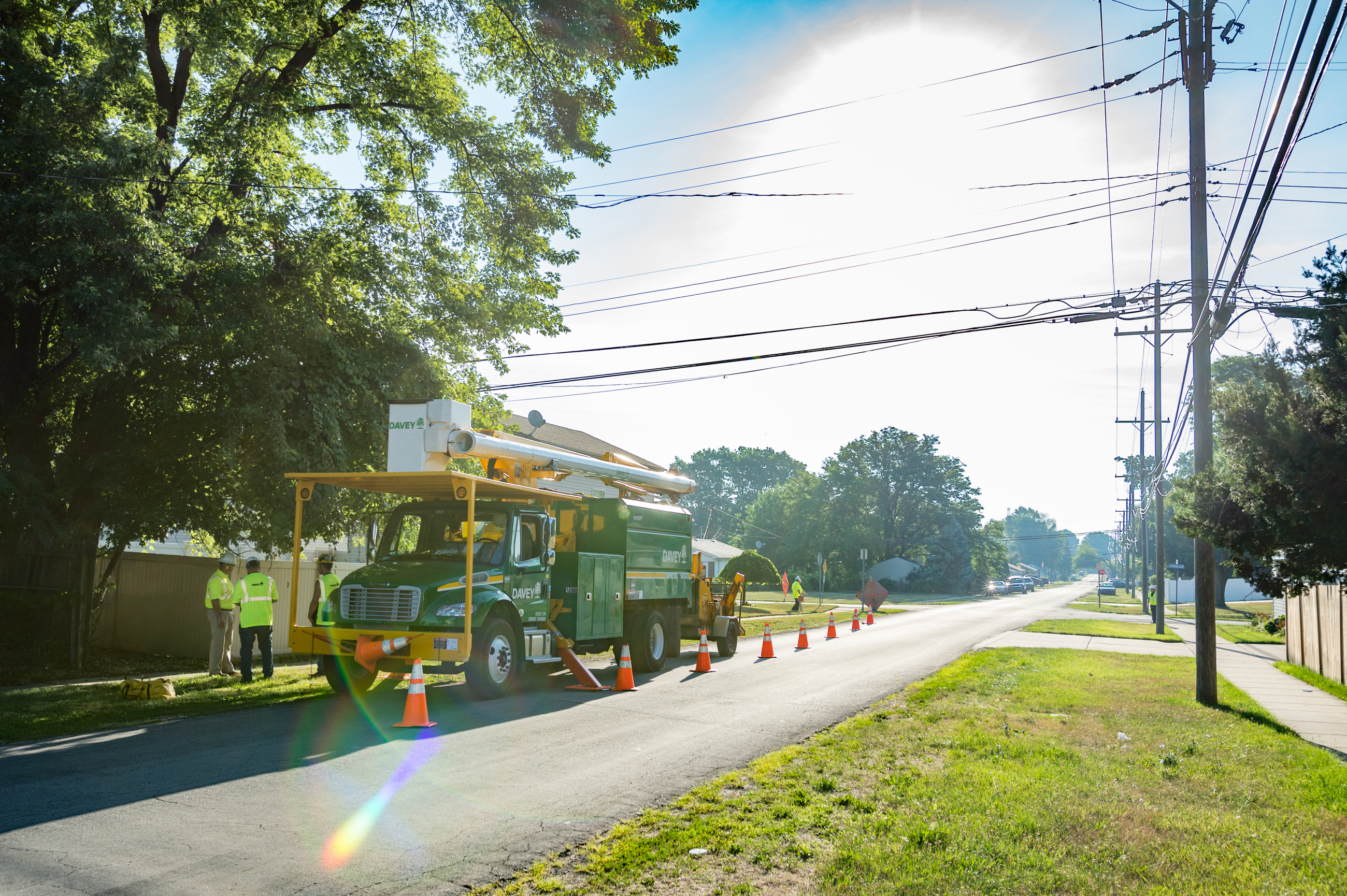 Utility Services | Davey Tree