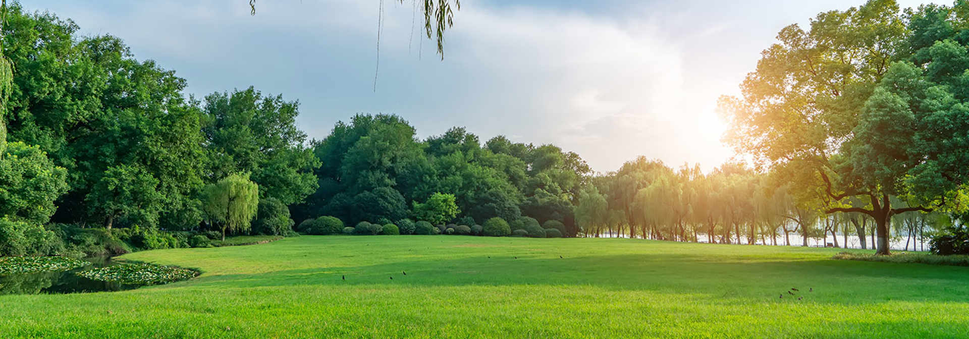 Tree Inventory Management & Consulting | Davey Resource Group