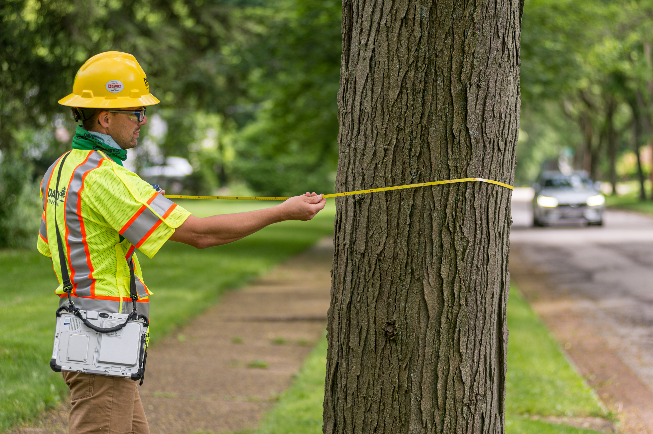 Urban Forest Management Plan