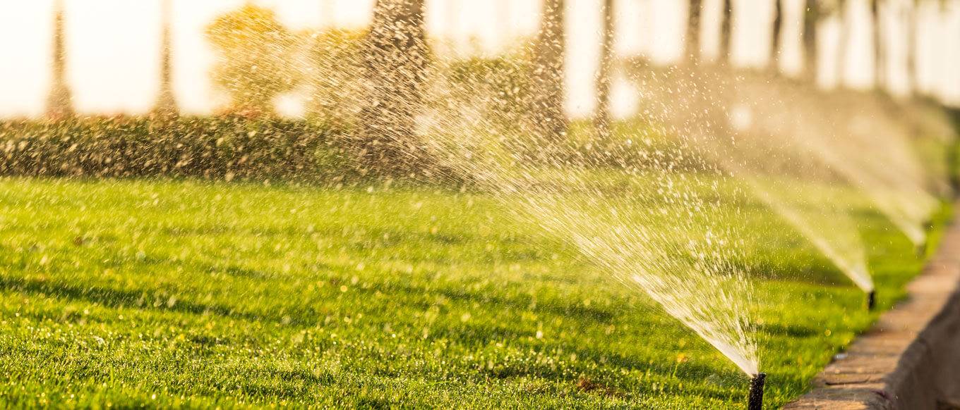 Treekeeper Custom Layers